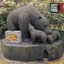 40!!! Years Bear Family Records