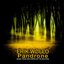 Pandrone