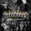 The Rise Of Brutality [Bonus Track]