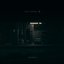 Nocturnal 夜