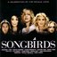 Songbirds