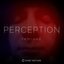 Perception Remixes