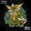 Ganja Gremlin EP
