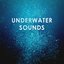 Underwater Sounds: Diving into Sleep and Detente ASMR