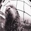 Vs. Expanded Edition (3 Bonus Tracks) [Explicit]