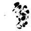 WHITE ep