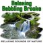 Relaxing Babbling Brooks (Nature Sounds)