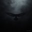The Phoenix