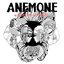 Anemone - Single