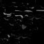 Biofilms