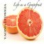 Life as a Grapefruit