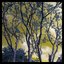 Azure Tears (feat. SERAPHINE NOIR) - Single