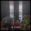 Man Or Muppet - Single