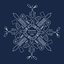 Snow On