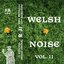 Welsh Noise Vol. II