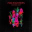 Wasting Light (Best Buy Deluxe Version)