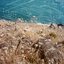 i like / Aēsop - Single