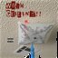 Worm Ceiling - EP