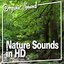 Nature Sounds in HD (Nature Sound)