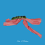 John Glacier - Like A Ribbon album artwork