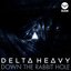 Down the Rabbit Hole