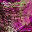 Blaze - Single