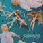 Toyfriend - Single