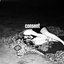 Consent [Explicit]