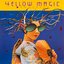 Yellow Magic Orchestra USA