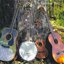 The Blessing Tree