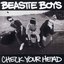 Check Your Head (Deluxe Edition) [Remastered 2009]