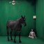 CHIAMO IO CHIAMI TU - Single