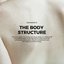 Body Structure