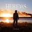 Heridas