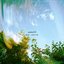 superlit - Single