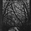 Lament For Lost Gods