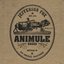 Animule