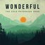 Wonderful