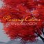 Flowing Colors - Single