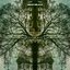 Conversation with a Tree - Single
