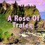 A Rose of Tralee