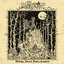 Witchy Forest Dance Contest