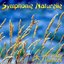 Symphonie Naturelle