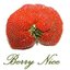 Berry Nice - disc 4