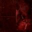That Within Blood Ill-Tempered