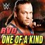 WWE: One Of A Kind (Rob Van Dam)