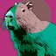 Capybara