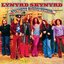 Southern Surroundings: The Ultimate Skynyrd Collection