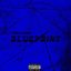 Blueprint