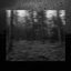 Rain  Mist - Single